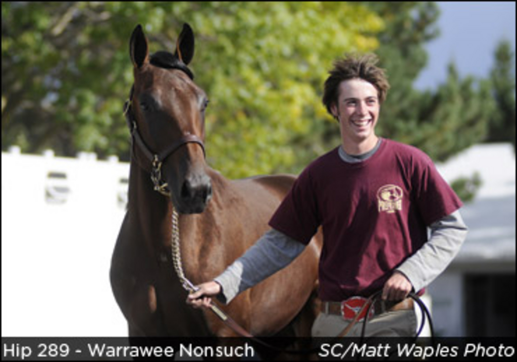 warrawee-nonsuch.jpg