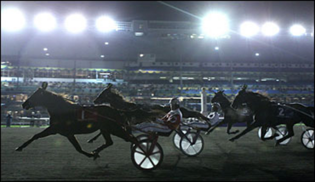 woodbine-bright-lights.jpg