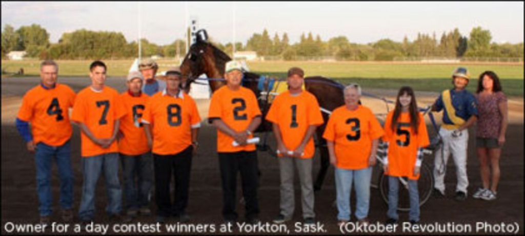 yorkton-winners.jpg