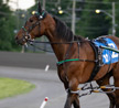 Redland Rocket Man