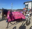 Elitlopp