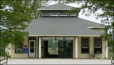 hanover-shoe.jpg