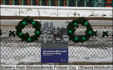 standardbreds-forever.jpg