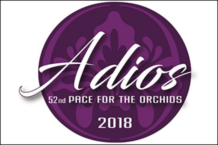 2018-Adios-logo-370px.jpg