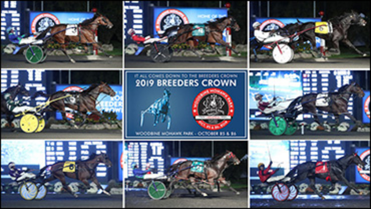 2019-Saturday-Breeders-Crown-Winners-370px.jpg