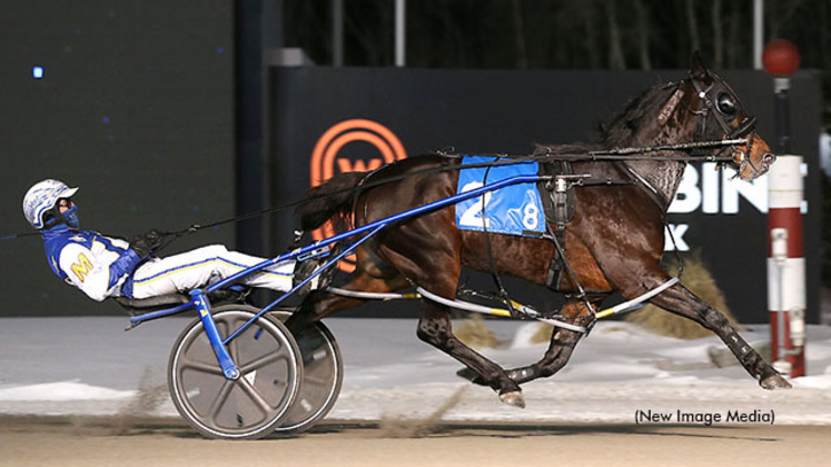 Linedrive Hanover in the Snowshoe Series at Woodbine Mohawk Park