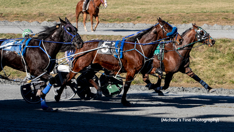 Harness racing at Fraser Downs
