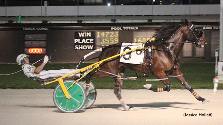 LA Always Amartini winning at Pompano Park