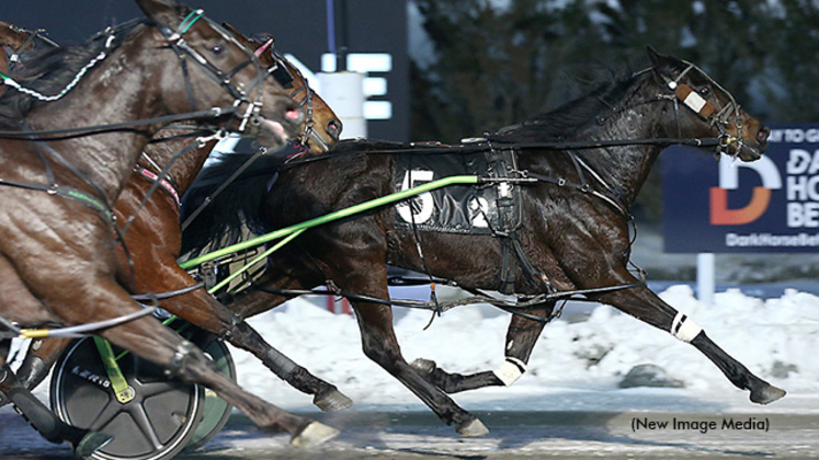 So Much More winning at Woodbine Mohawk Park