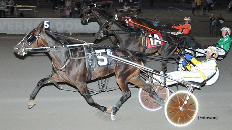 Harness racing at Vernon Downs