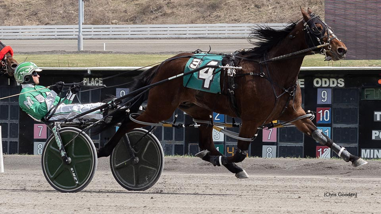 Lydeo winning at The Meadows