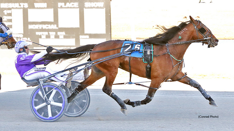 Roysons Punch winning at Miami Valley Raceway