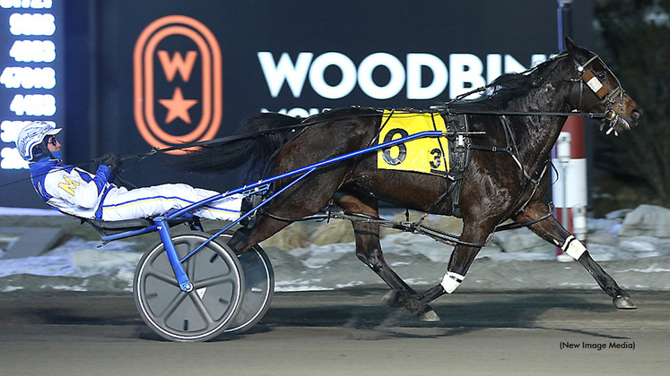 So Much More winning at Woodbine Mohawk Park