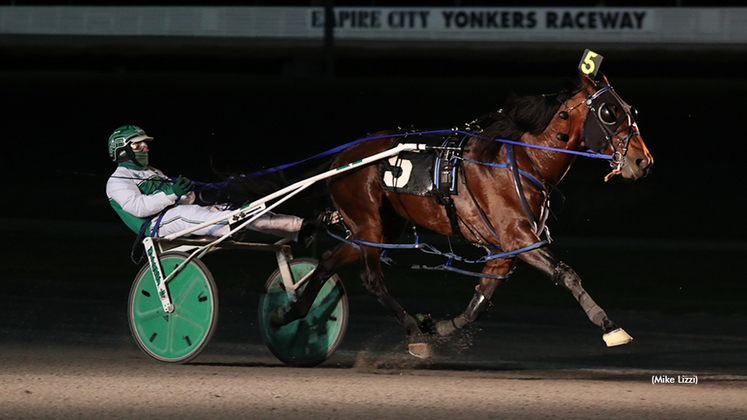Western Fame winning the Levy Series at Yonkers Raceway