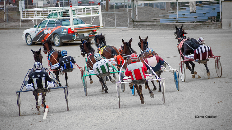 Live Racing Schedule Standardbred Canada