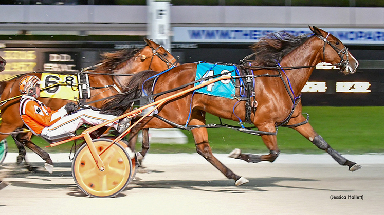 Agedchedar Hanover winning at Pompano Park