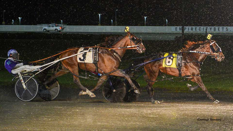 American Courage winning the Messenger Stakes