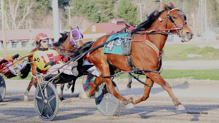 Cyclone Pass winning at Cumberland