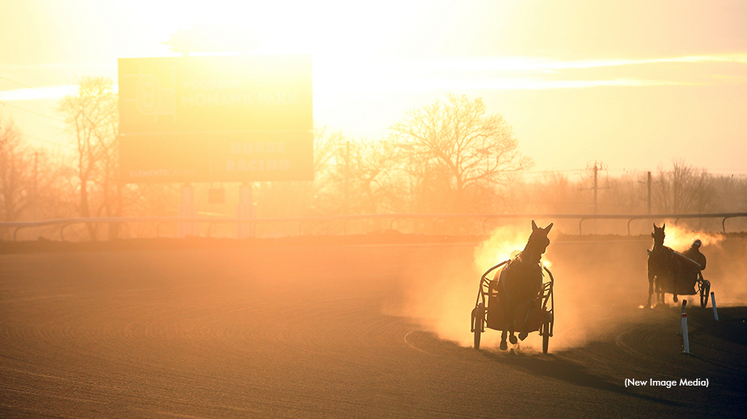 Standardbreds training at Woodbine Mohawk Park