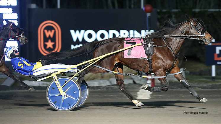 Lyons Tilt Hanover winning at Woodbine Mohawk Park