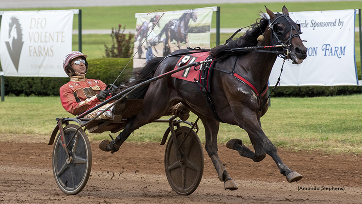 Amigo Volo winning at The Red Mile