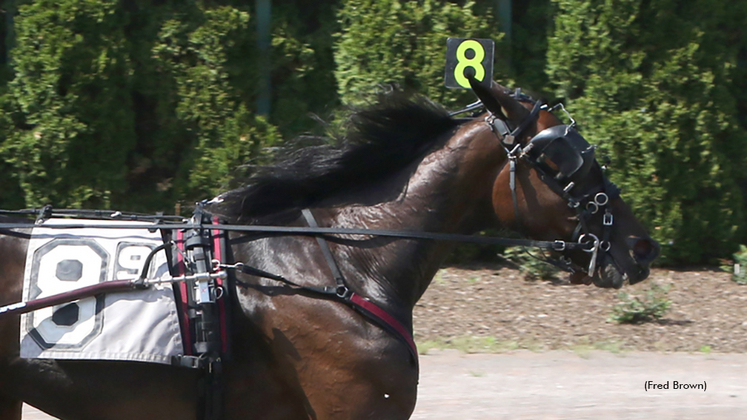 Cool Papa Bell winning at Tioga Downs