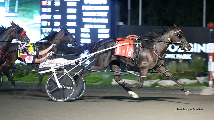 Fade Out winning at Woodbine Mohawk Park