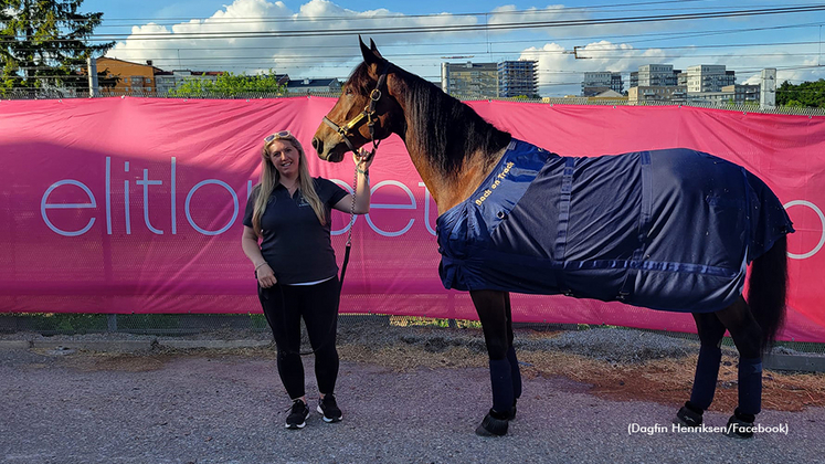 Perfetto with caretaker Laura Trask at the Elitloppet