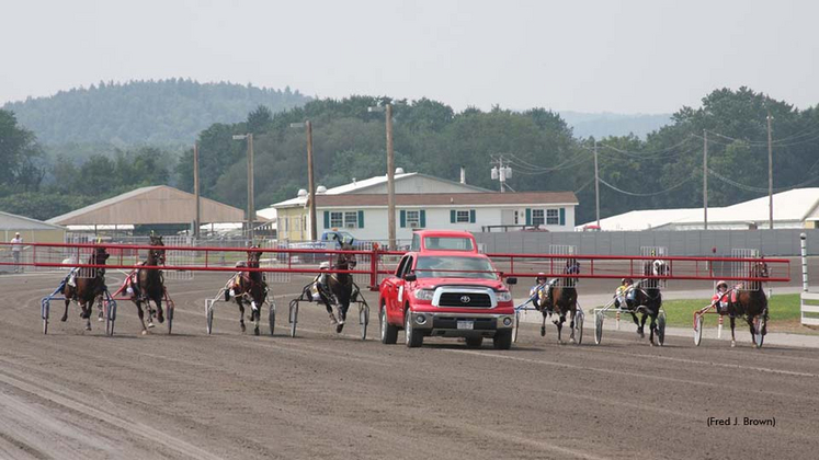 Harness racing at Tioga Downs