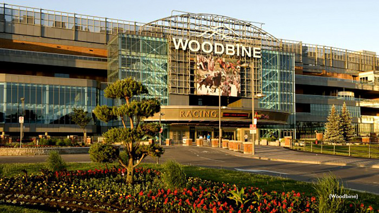 Woodbine Racetrack