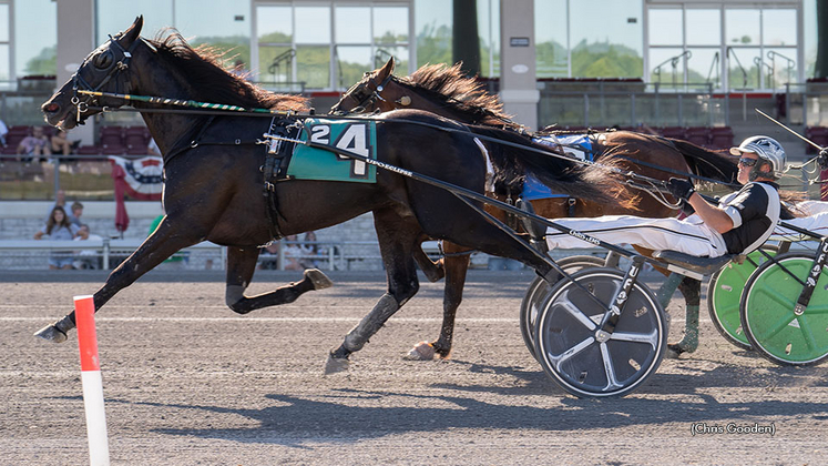 Black Magic winning at The Meadows