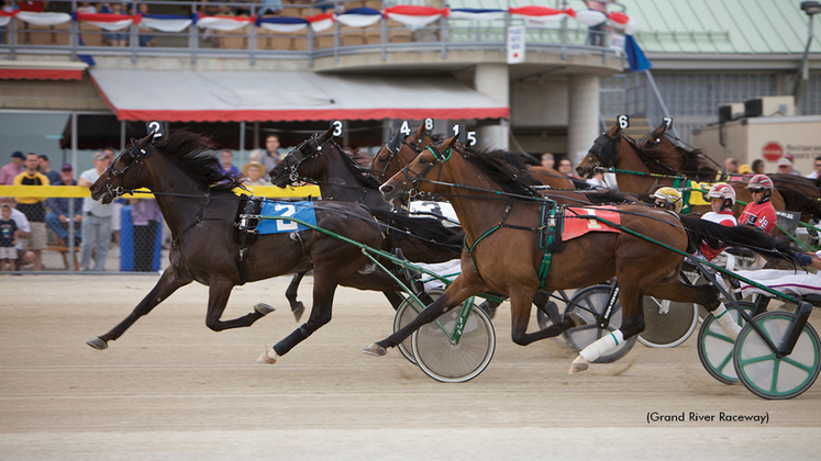 Harness racing at Grand River Raceway