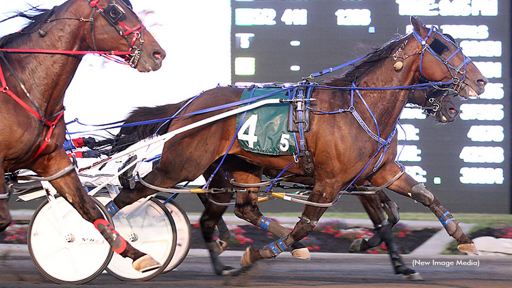 Hervey Hanover winning at Woodbine Mohawk Park