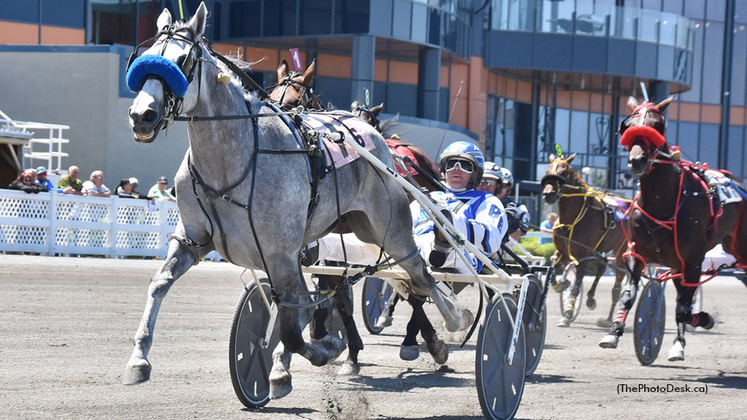 La Petite Grise winning at Hippodrome 3R