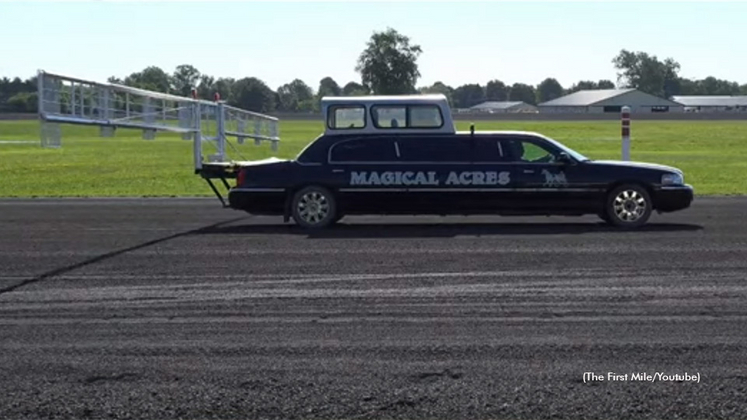 The starting gate at Magical Acres