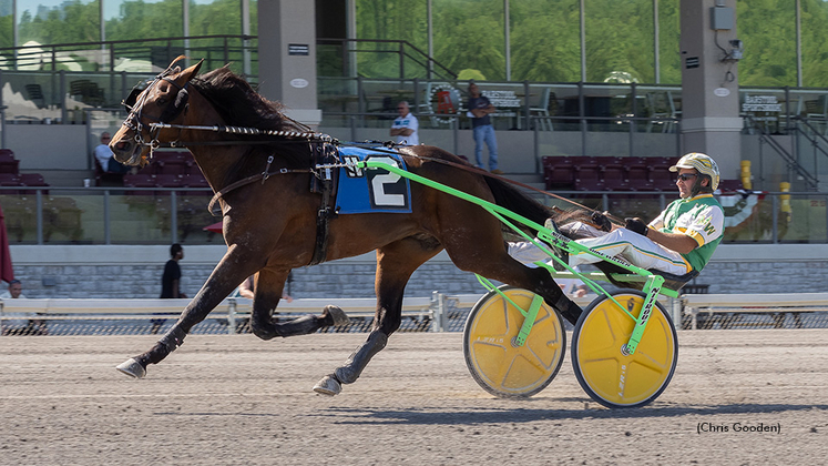 That Ole Bar Stool winning at The Meadows