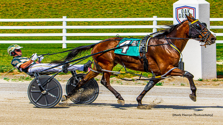 Blue Diamond Eyes winning at Oak Grove