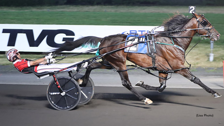 Bulldog Hanover winning at The Meadowlands