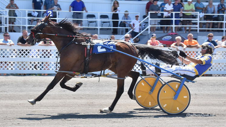 Jack Panic winning at Hippodrome 3R