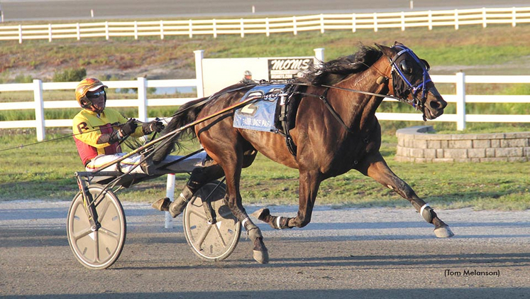 Queen Of All winning at Plainridge Park