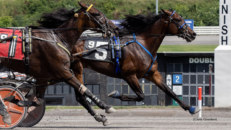 Stickler Hanover winning at The Meadows