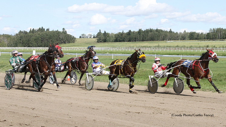 Harness racing at The Track On 2
