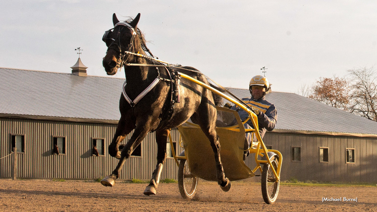 Atlanta and trainer Ron Burke