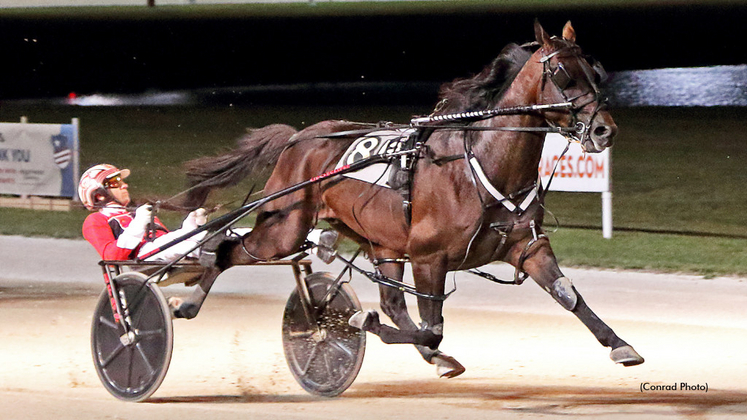 Bulldog Hanover | Standardbred Canada