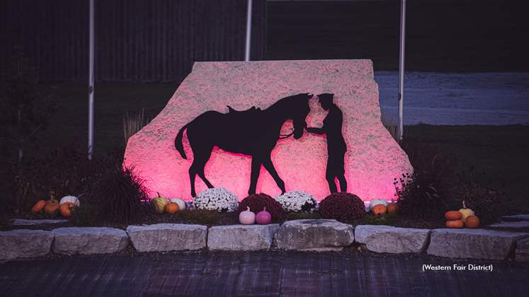The Raceway winner's circle lit up in pink for Harness The Hope