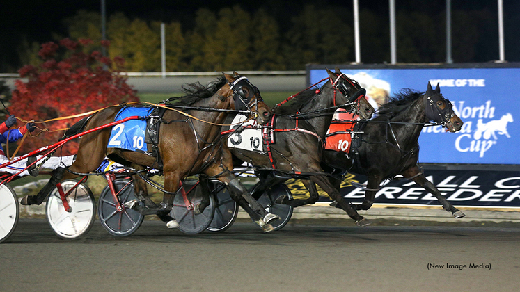 Heavens Showgirl A winning at Woodbine Mohawk Park