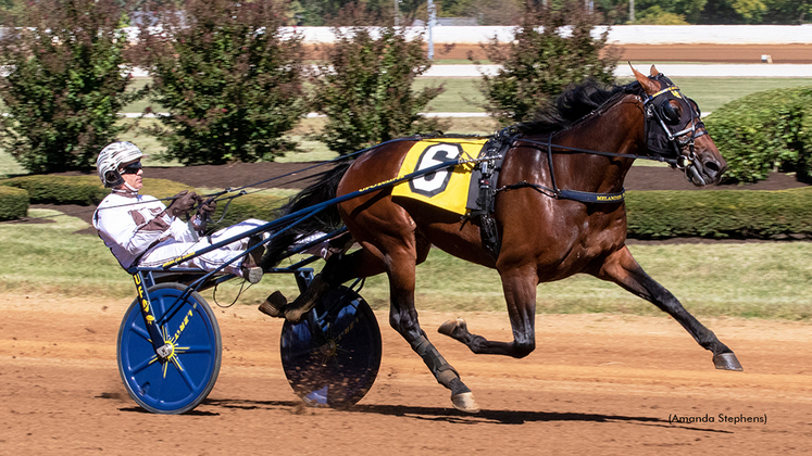 Periculum winning at The Red Mile