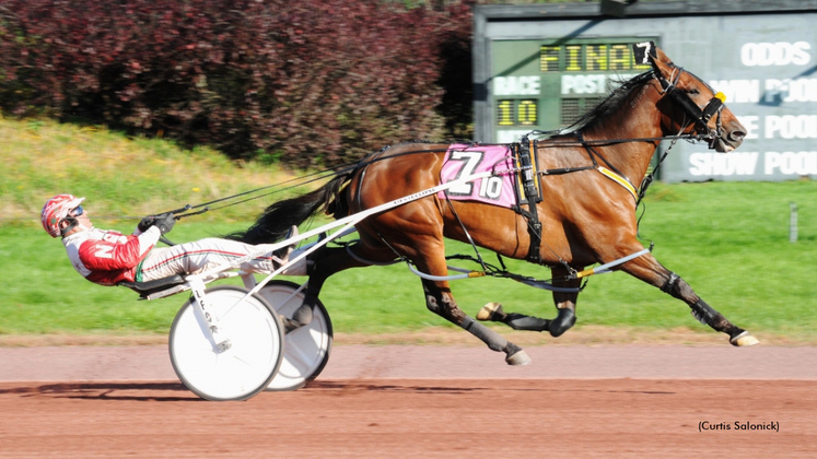 Ruthless Hanover