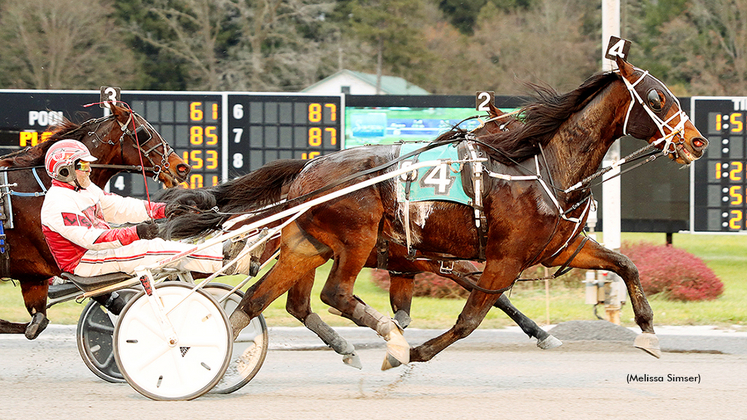 Big Box Hanover winning at Saratoga Raceway