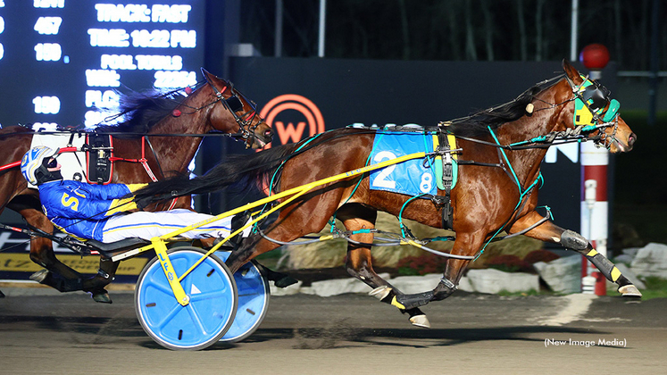 Girl Scout Cookie winning at Woodbine Mohawk Park